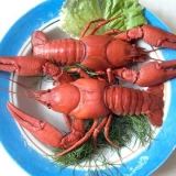 Як варити раків смачно?