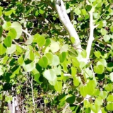 �� ������� �����: ���������� � ��������