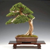 �� ��������� ������ � ������ �����?