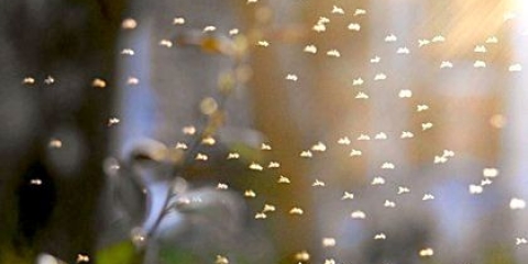 �� ��������� ����� �� �����: ������� ������������