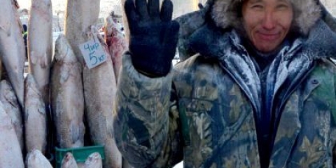 Як продати рибу і заробити на риболовлі?