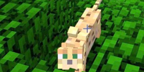 �� ������� ���� �� ������ � ��������� (minecraft)?