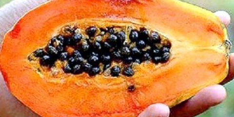 Як чистять і їдять папайю?