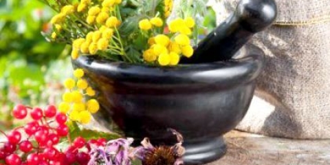 Які бувають види лікарських рослин?