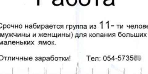 Як написати оголошення про прийом на роботу?